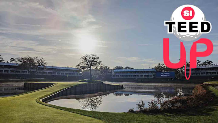 DuraFlow T5 工业耐磨损泵